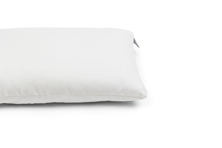 Organic Wool Pillow